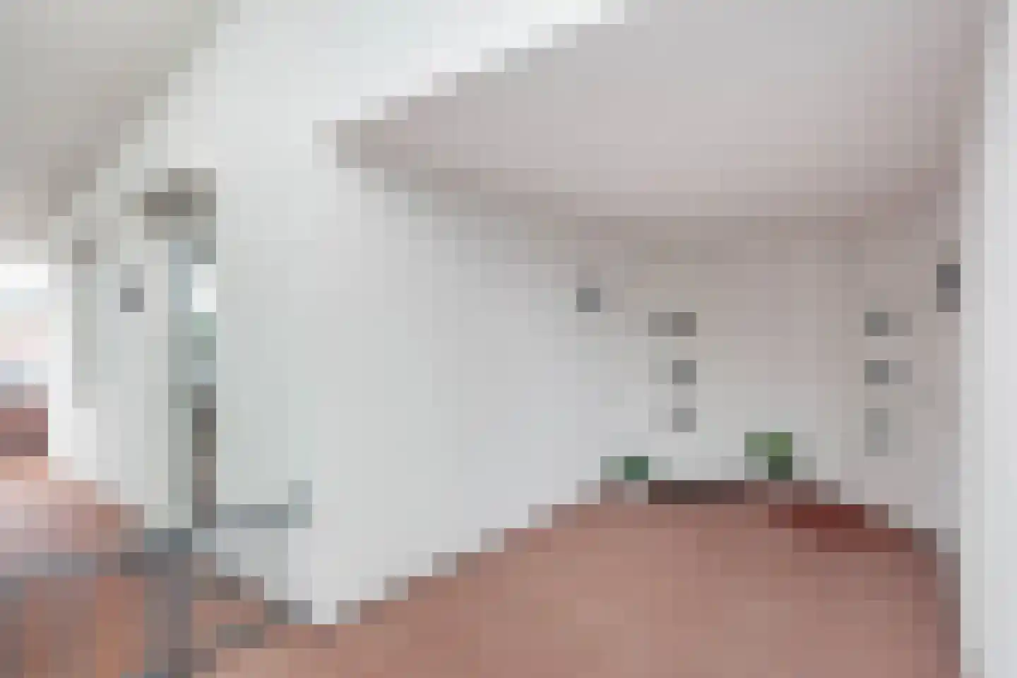 Beatrixstraat 1 t Zetten thumbnail 50