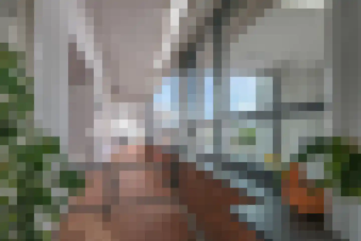 Beatrixstraat 1 t Zetten thumbnail 55