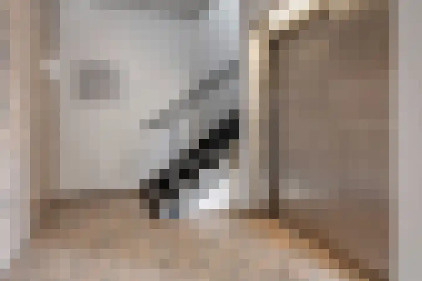 Beatrixstraat 1 t Zetten thumbnail 59