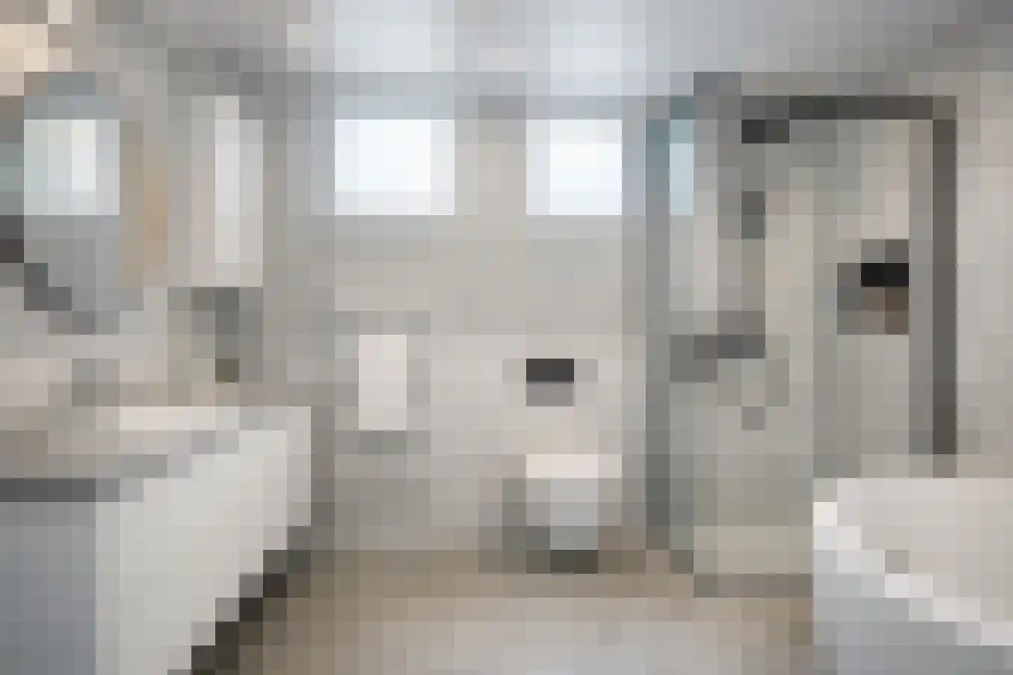 Beatrixstraat 1 Vaals thumbnail 16