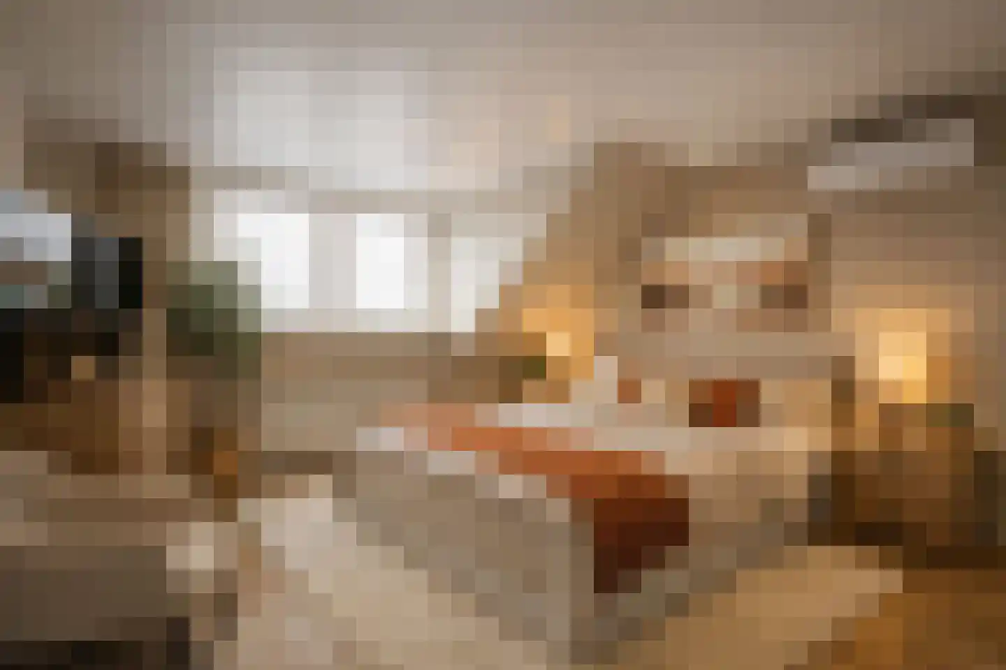 Beatrixstraat 1 Vaals thumbnail 21
