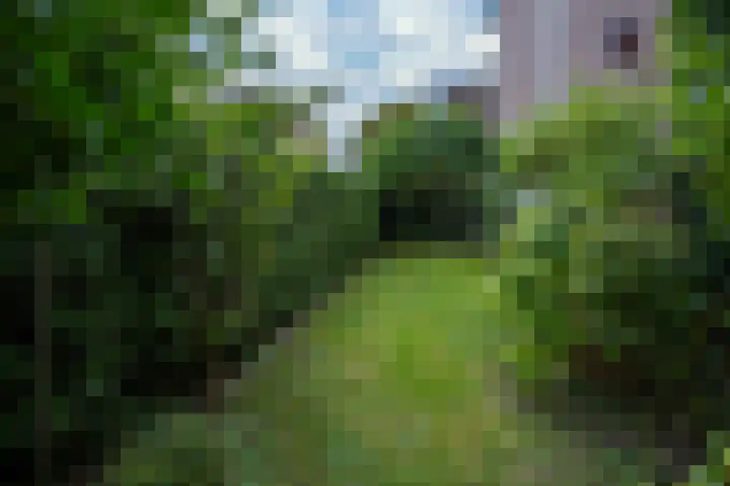 Beatrixstraat 1 Vaals thumbnail 30