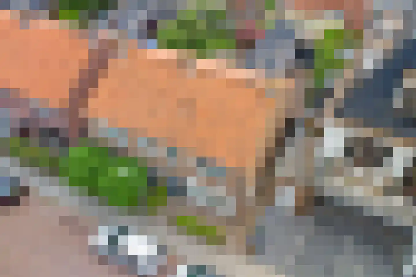 Beatrixstraat 1 Yerseke thumbnail 37