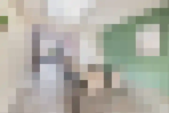 Beatrixstraat 10 Afferden L thumbnail 7