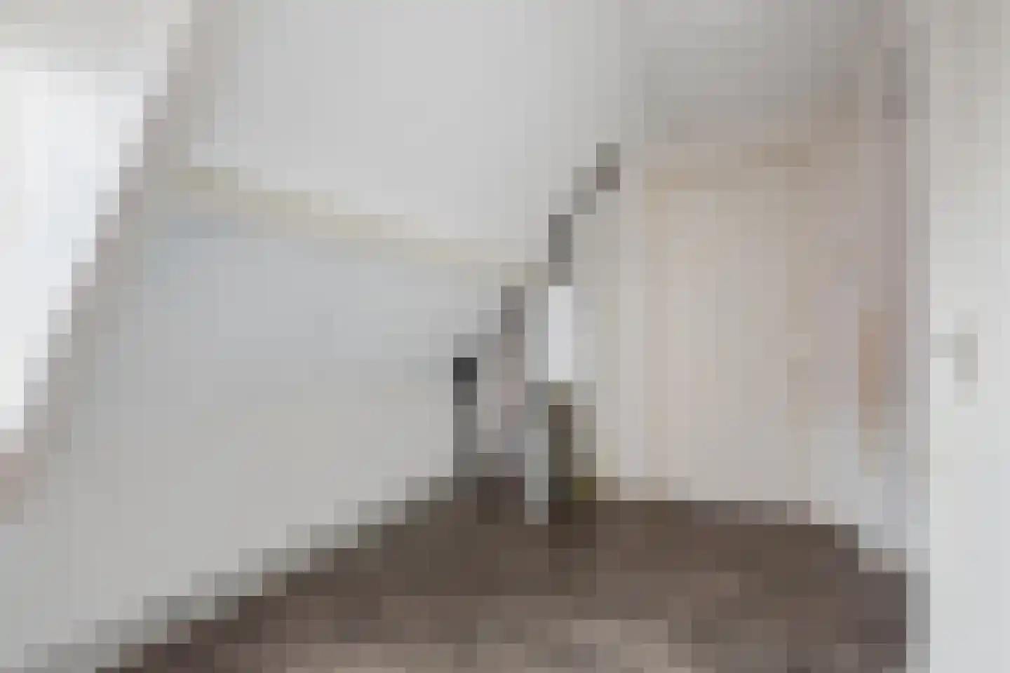 Beatrixstraat 10 Andelst thumbnail 20