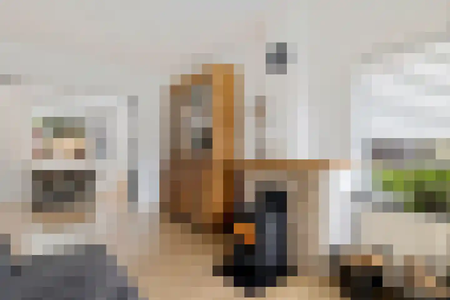 Beatrixstraat 10 Borger thumbnail 11