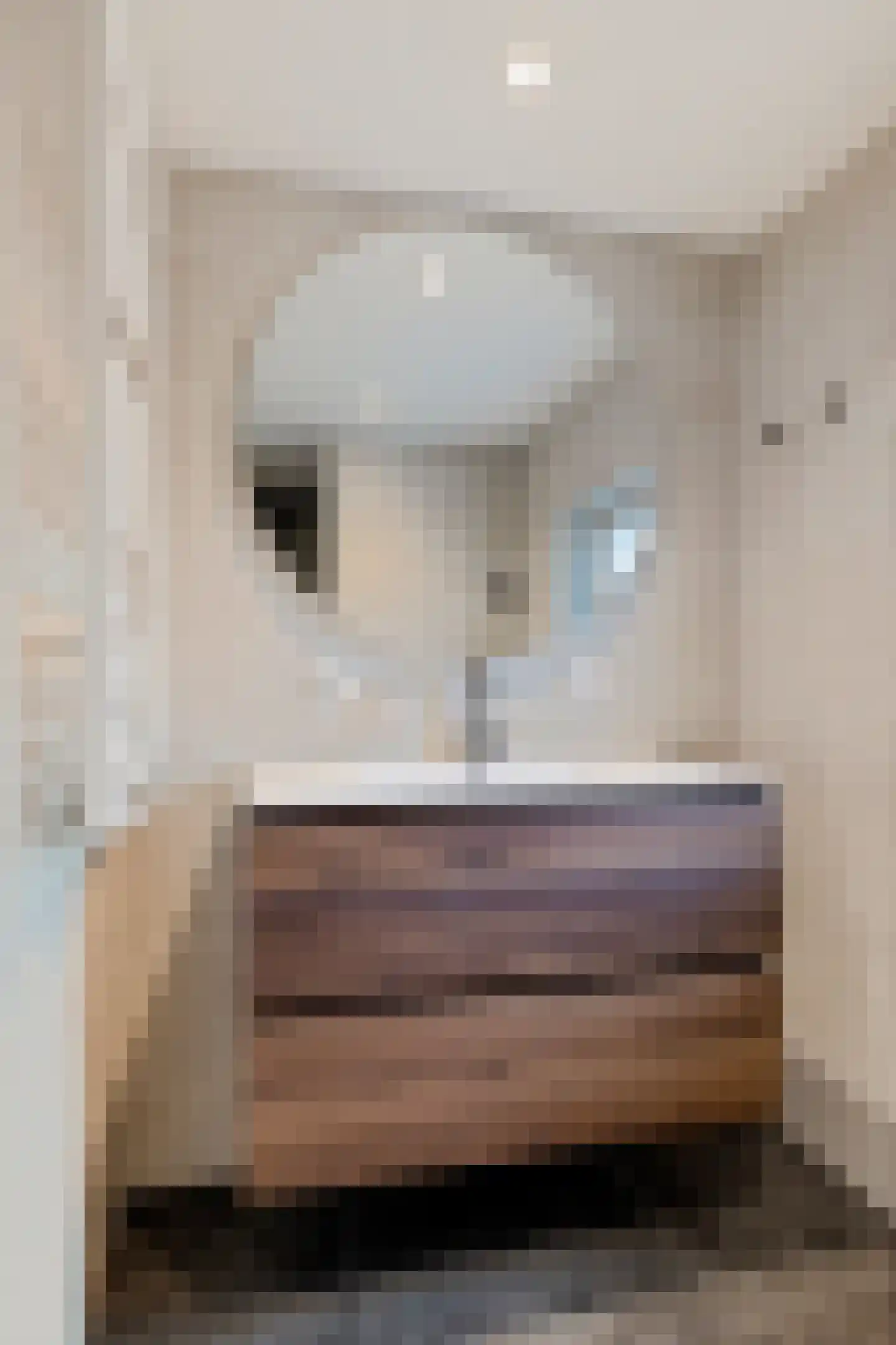 Beatrixstraat 10 Borger thumbnail 19