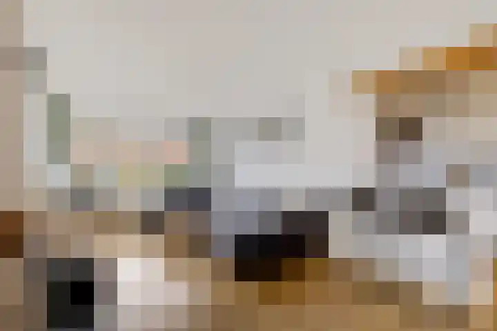 Beatrixstraat 10 Borger foto 3