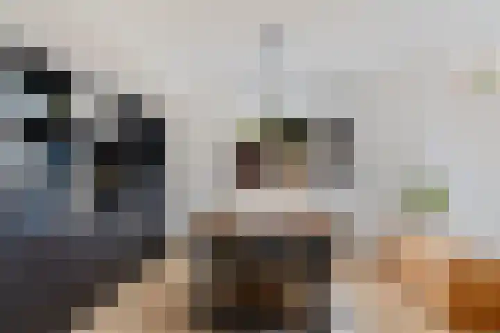Beatrixstraat 10 Borger thumbnail 4