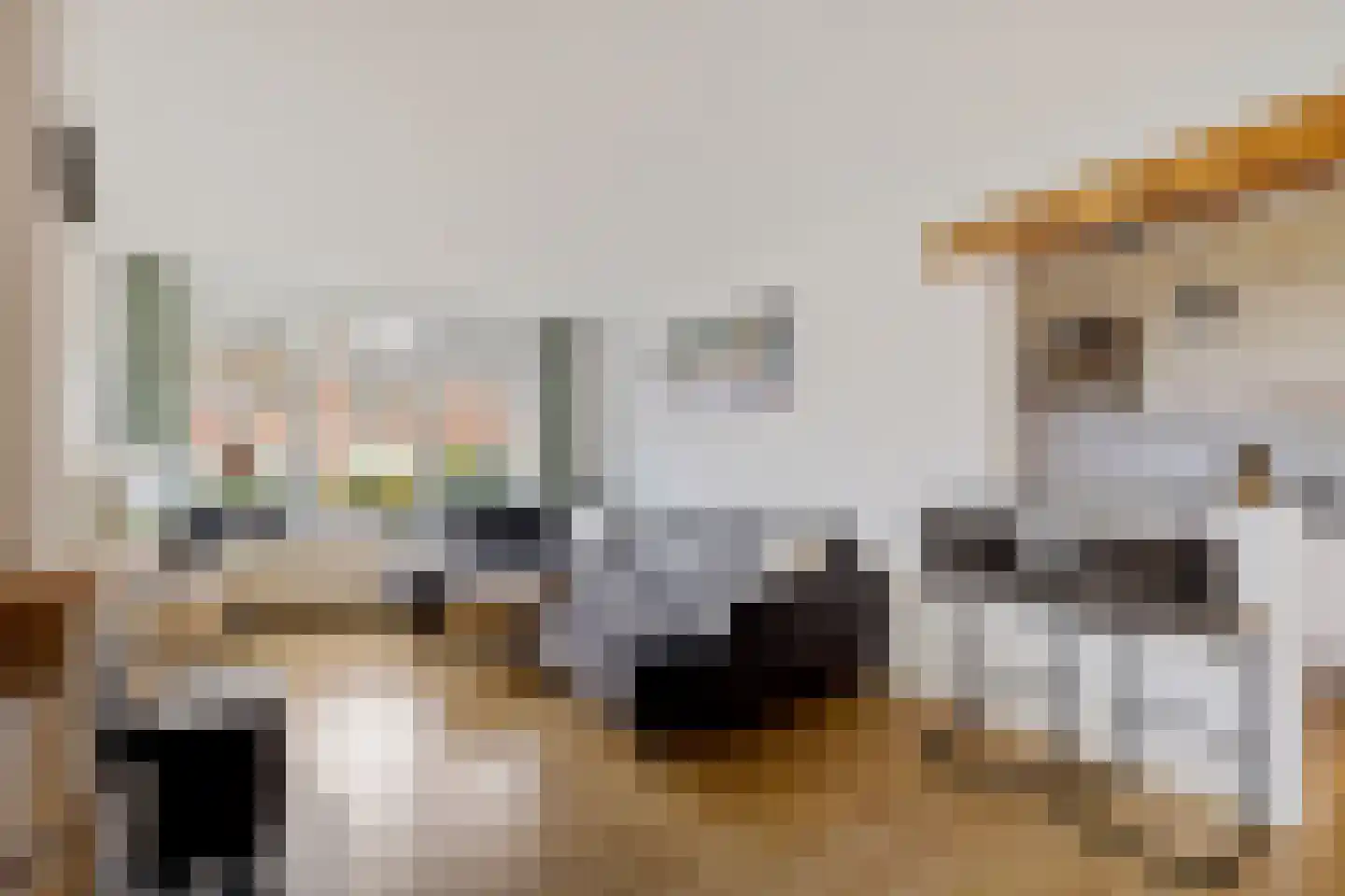 Beatrixstraat 10 Borger thumbnail 9