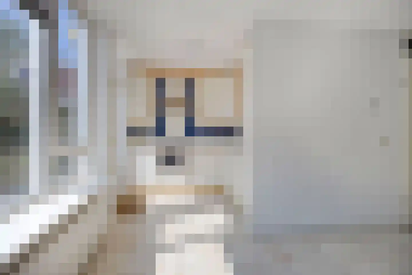 Beatrixstraat 10 Kampen thumbnail 15
