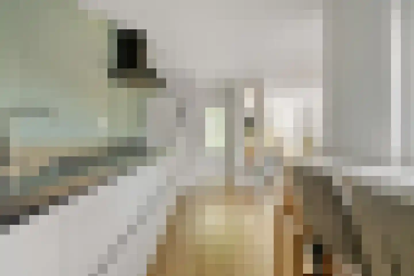 Beatrixstraat 10 Yerseke thumbnail 4