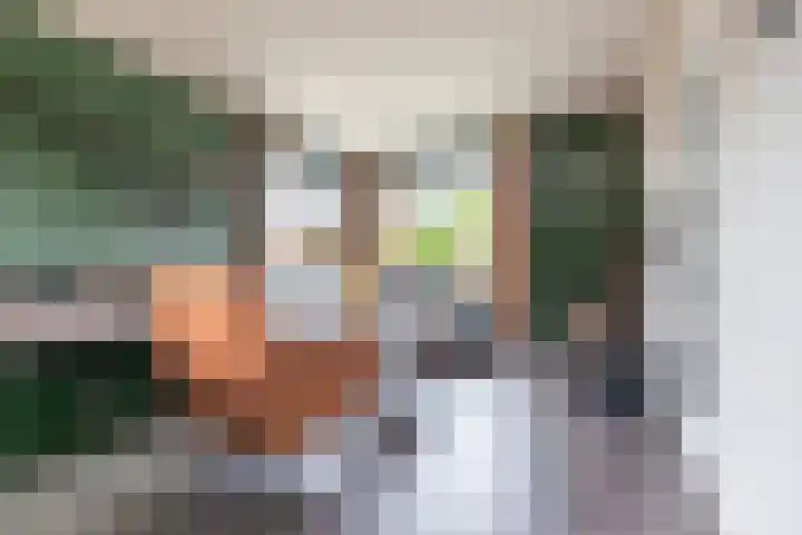 Beatrixstraat 11 Dinxperlo thumbnail 10