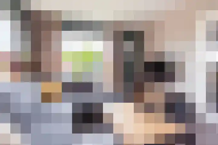 Beatrixstraat 11 Dinxperlo thumbnail 11