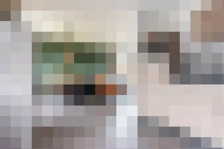 Beatrixstraat 11 Dinxperlo thumbnail 18