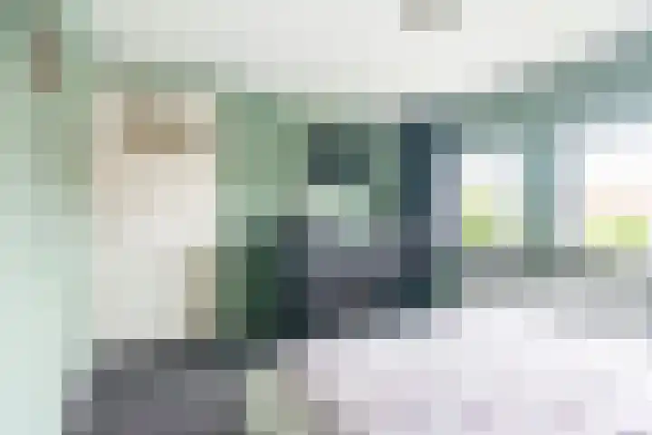 Beatrixstraat 11 Dinxperlo thumbnail 25