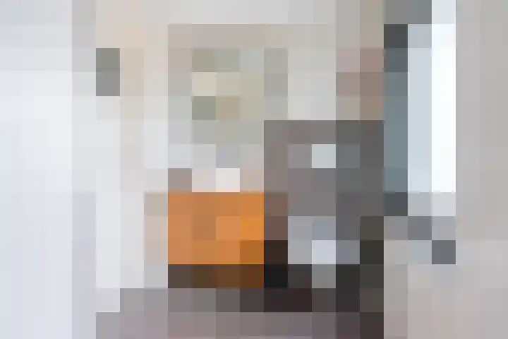 Beatrixstraat 11 Dinxperlo thumbnail 30