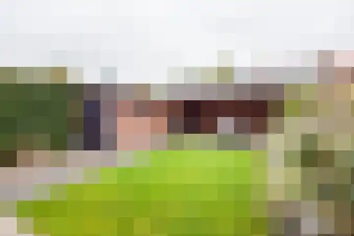 Beatrixstraat 11 Dinxperlo thumbnail 36