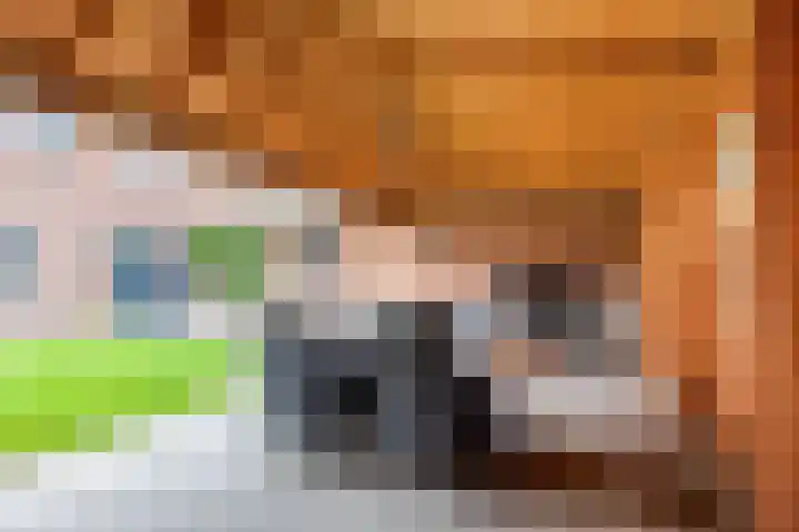 Beatrixstraat 11 Dinxperlo thumbnail 38