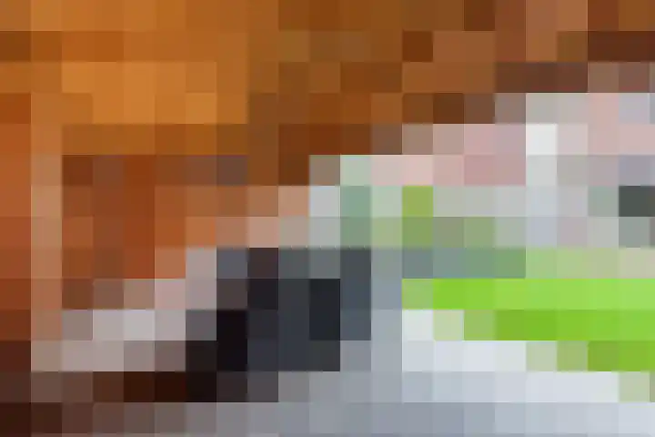 Beatrixstraat 11 Dinxperlo thumbnail 39