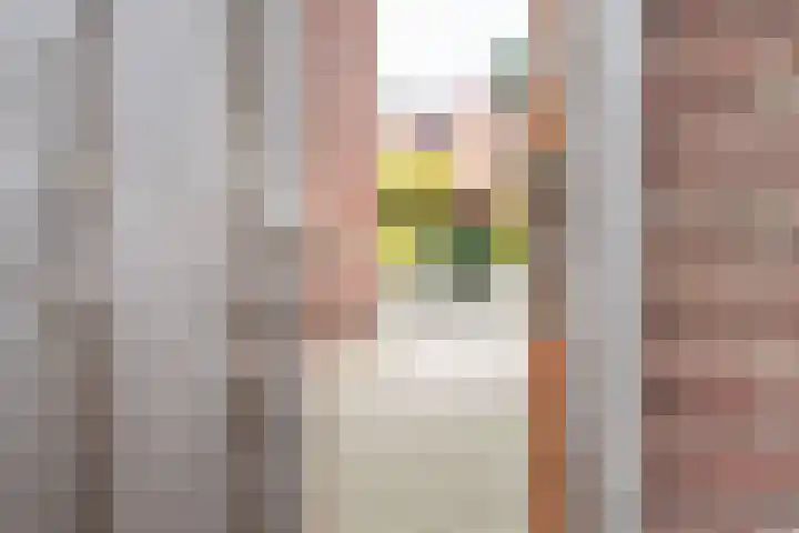 Beatrixstraat 11 Dinxperlo thumbnail 44