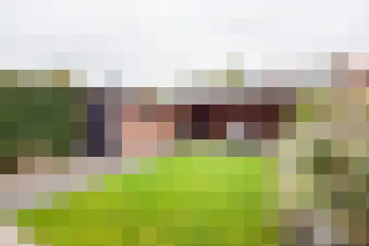 Beatrixstraat 11 Dinxperlo thumbnail 5