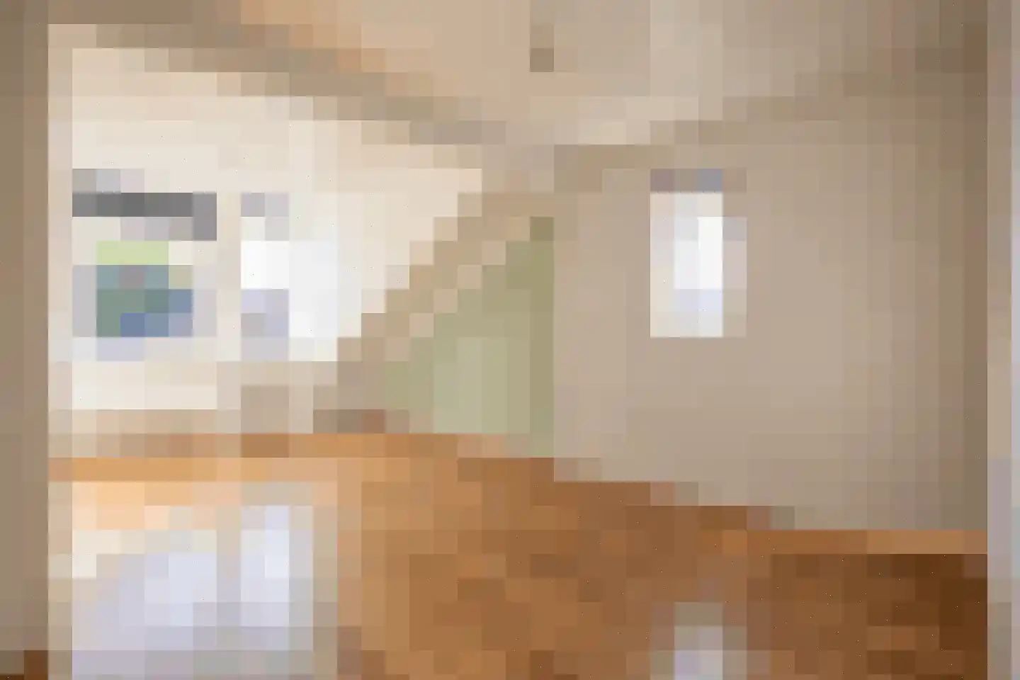 Beatrixstraat 11 Schaijk thumbnail 21