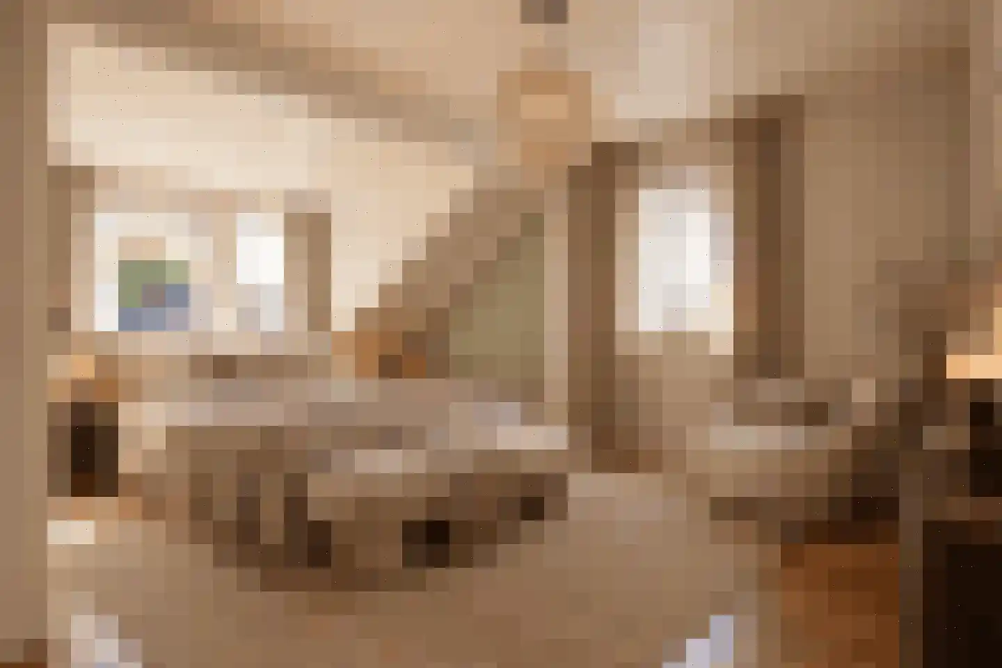 Beatrixstraat 11 Schaijk thumbnail 22