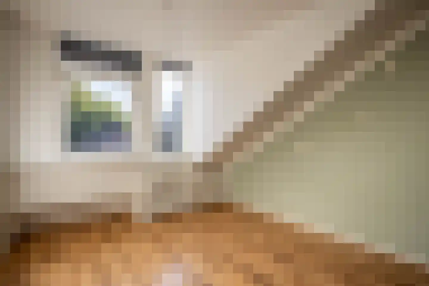 Beatrixstraat 11 Schaijk thumbnail 23