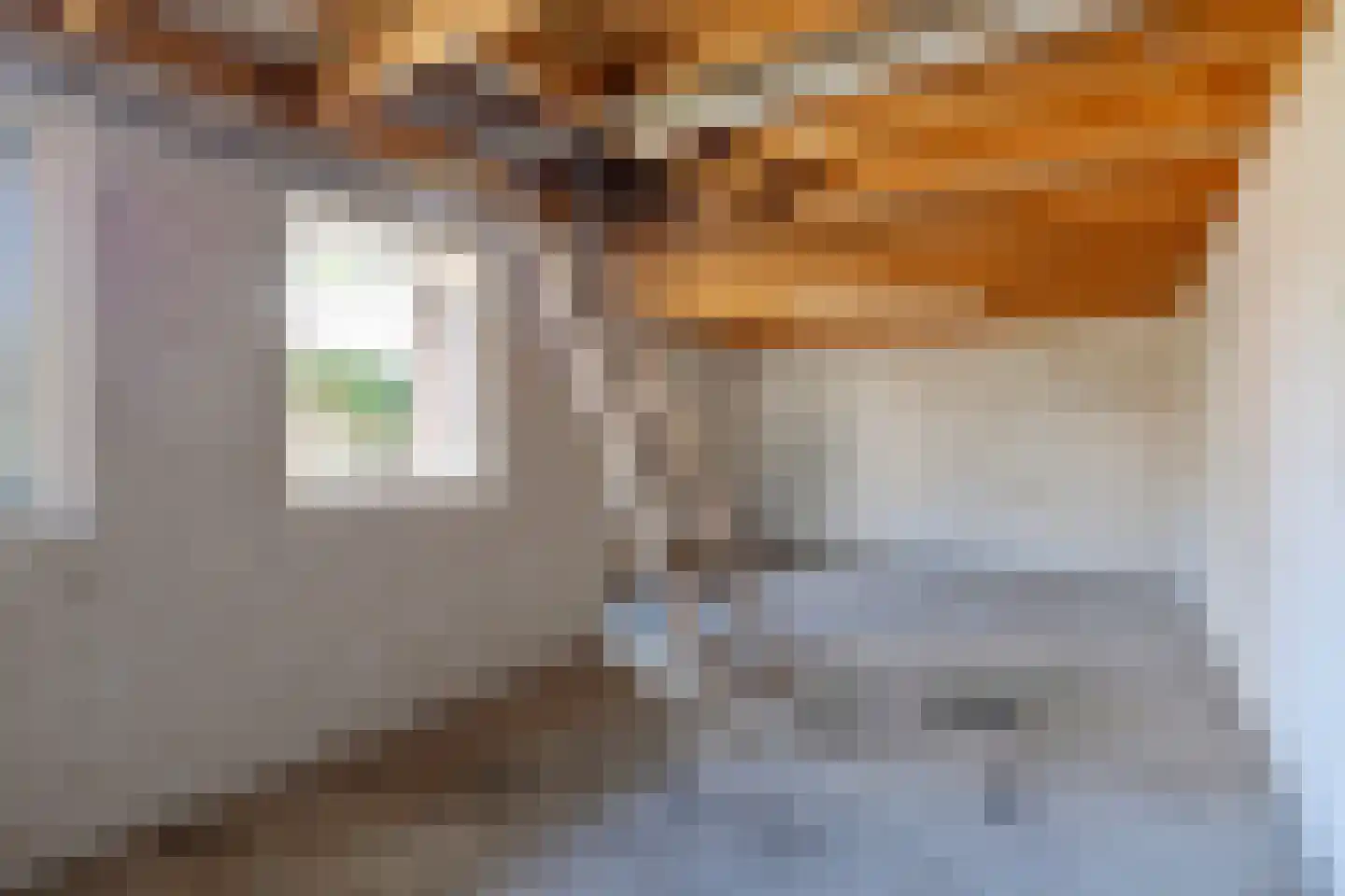 Beatrixstraat 11 Schaijk thumbnail 30