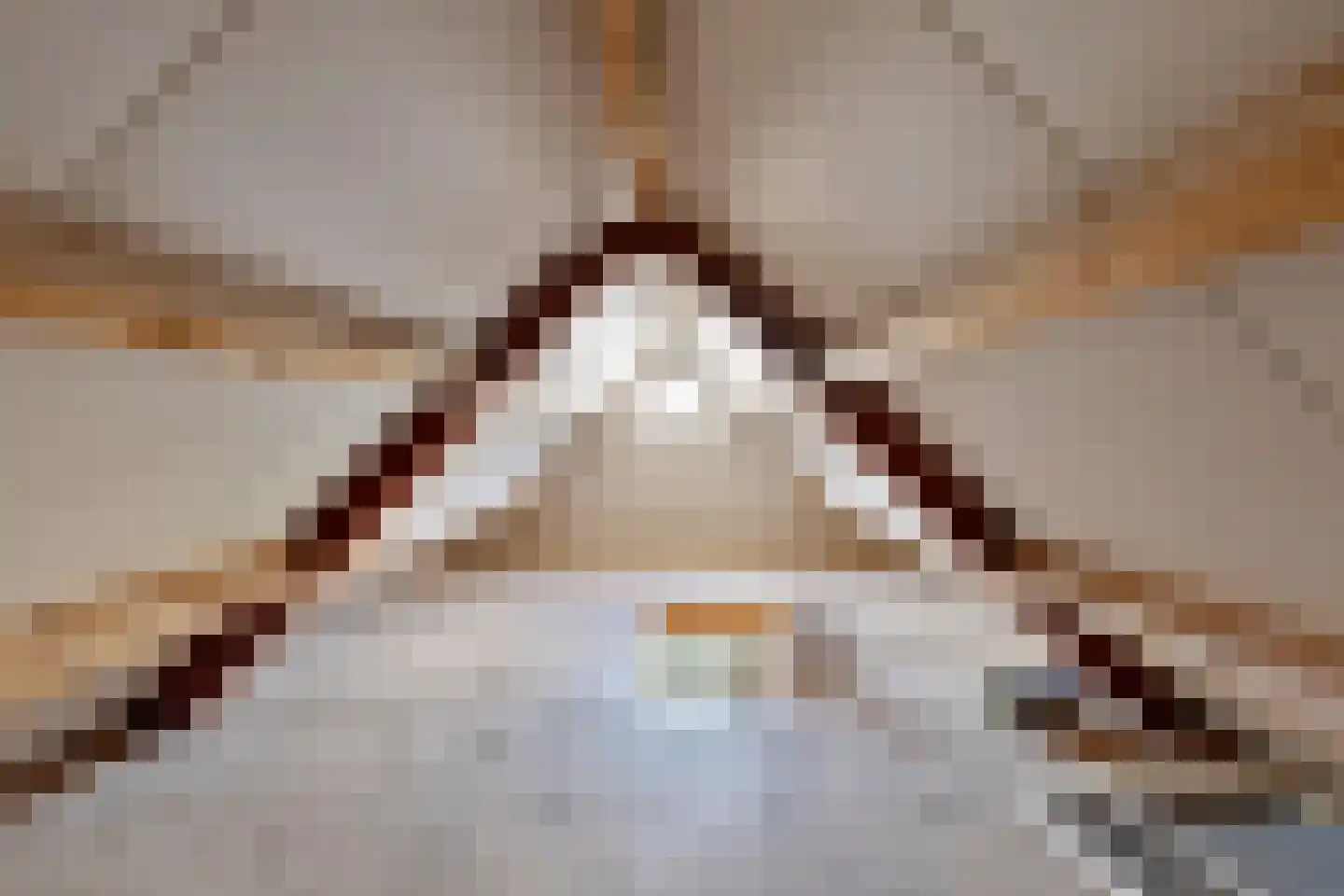 Beatrixstraat 11 Schaijk thumbnail 31