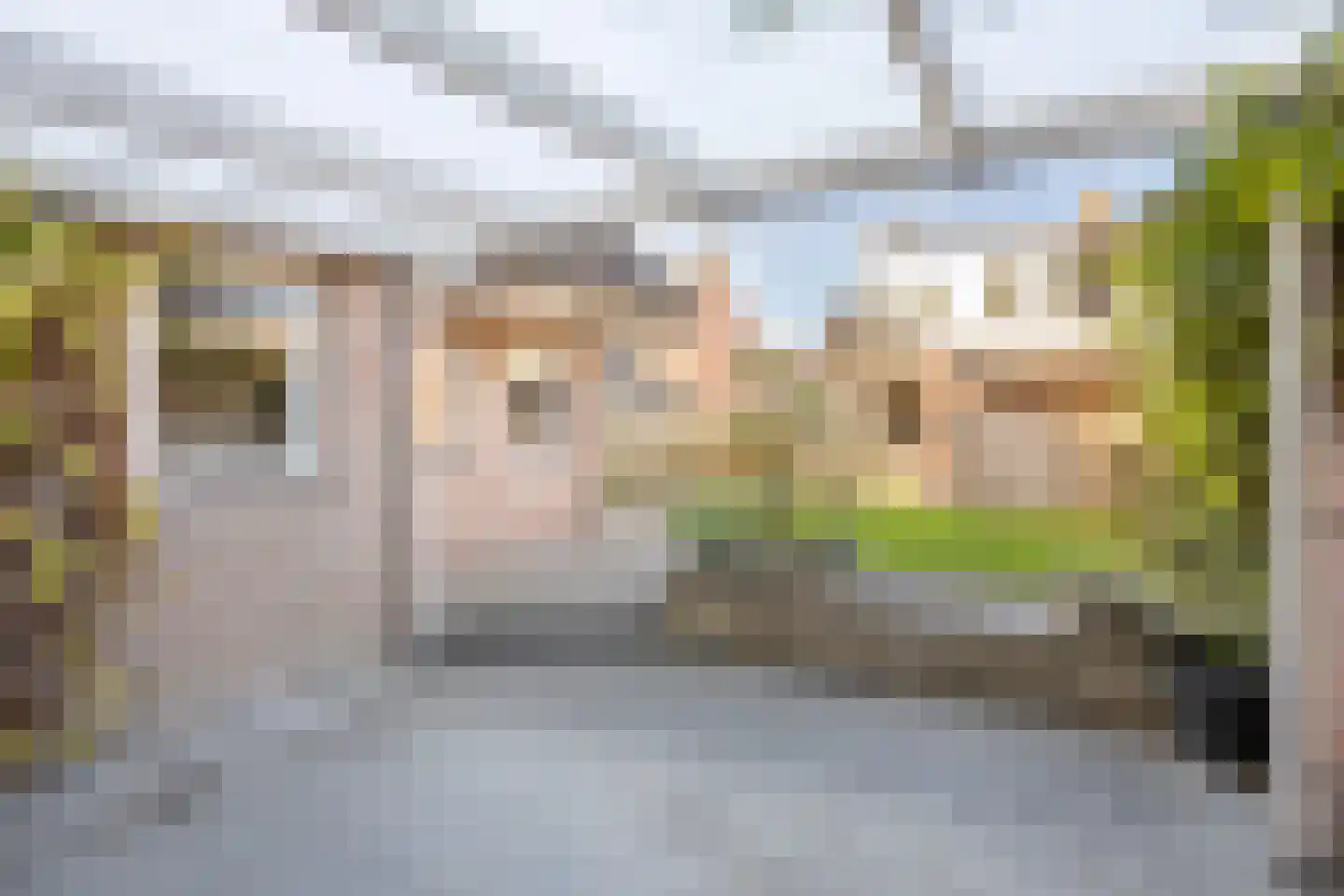 Beatrixstraat 11 Schaijk thumbnail 32