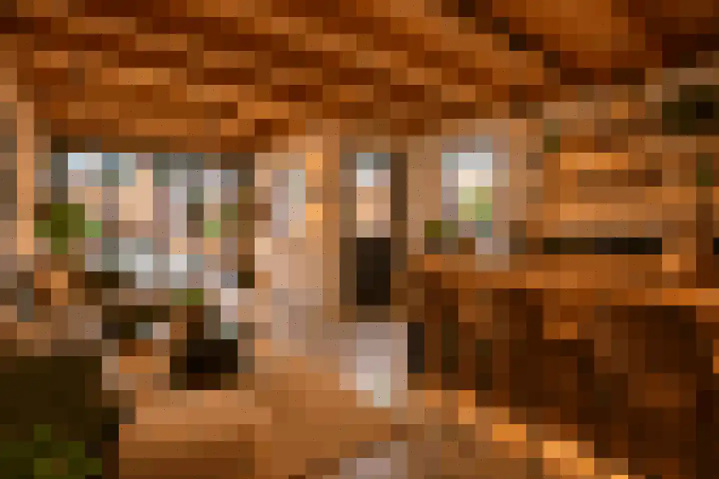 Beatrixstraat 11 Schaijk thumbnail 36