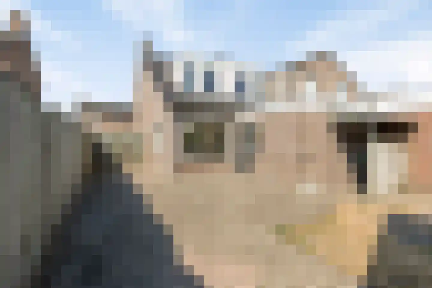 Beatrixstraat 11 Schaijk thumbnail 4