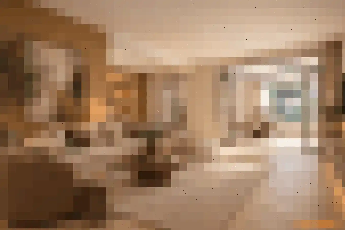 Beatrixstraat 11 Schaijk thumbnail 8