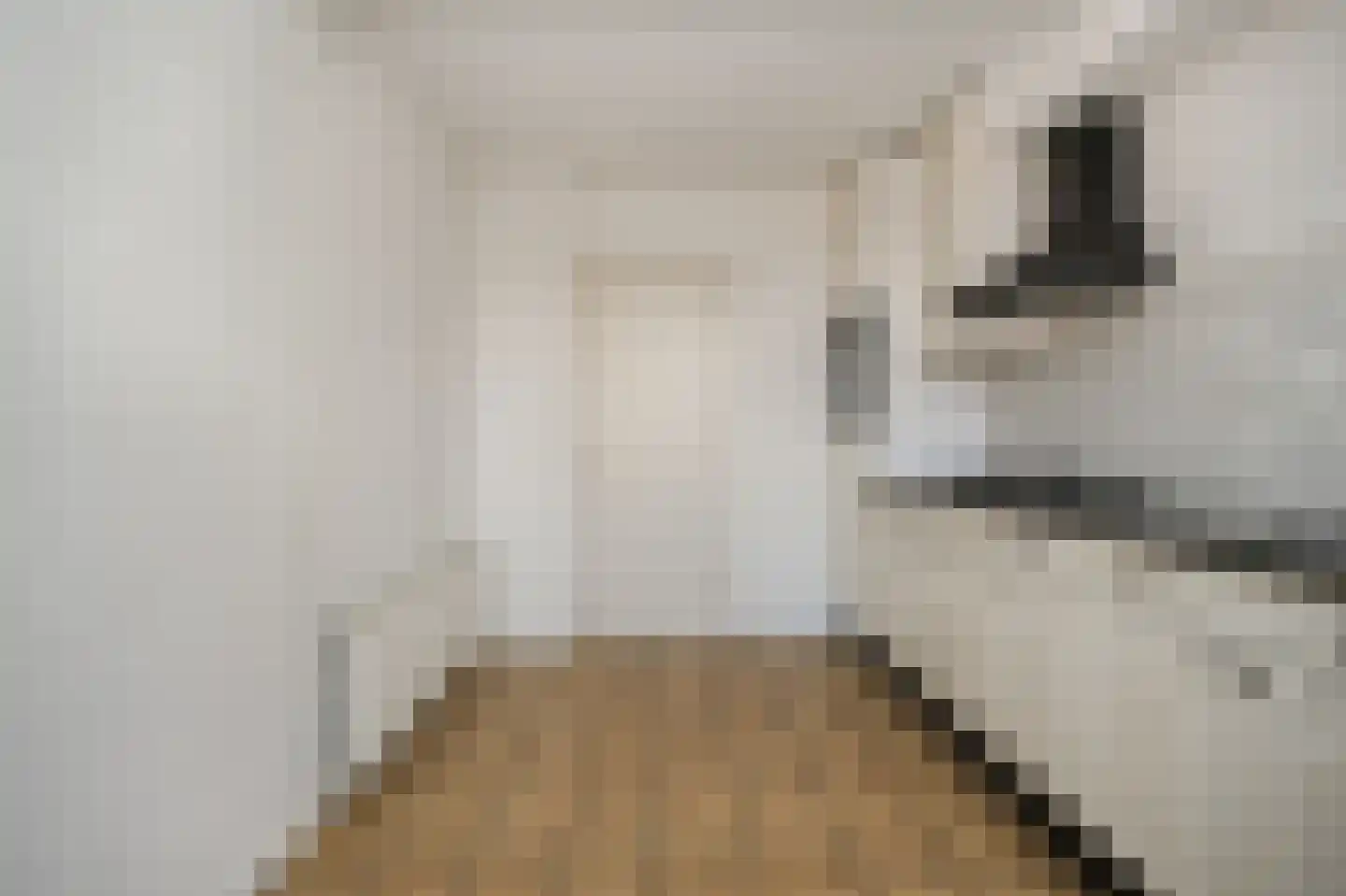 Beatrixstraat 12 Dreumel thumbnail 11
