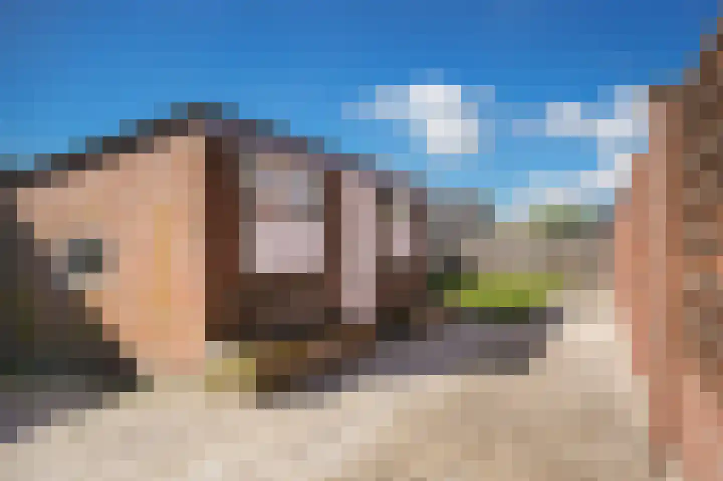 Beatrixstraat 12 Dreumel thumbnail 21