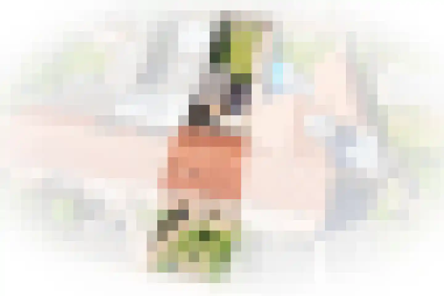 Beatrixstraat 12 Dreumel thumbnail 30