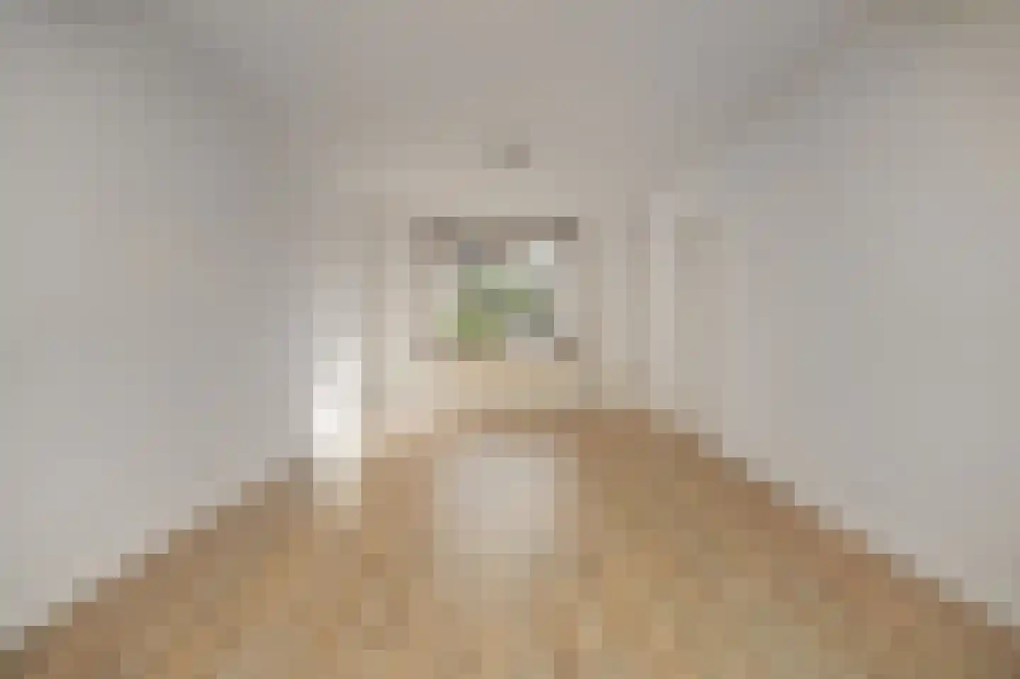 Beatrixstraat 12 Dreumel thumbnail 4