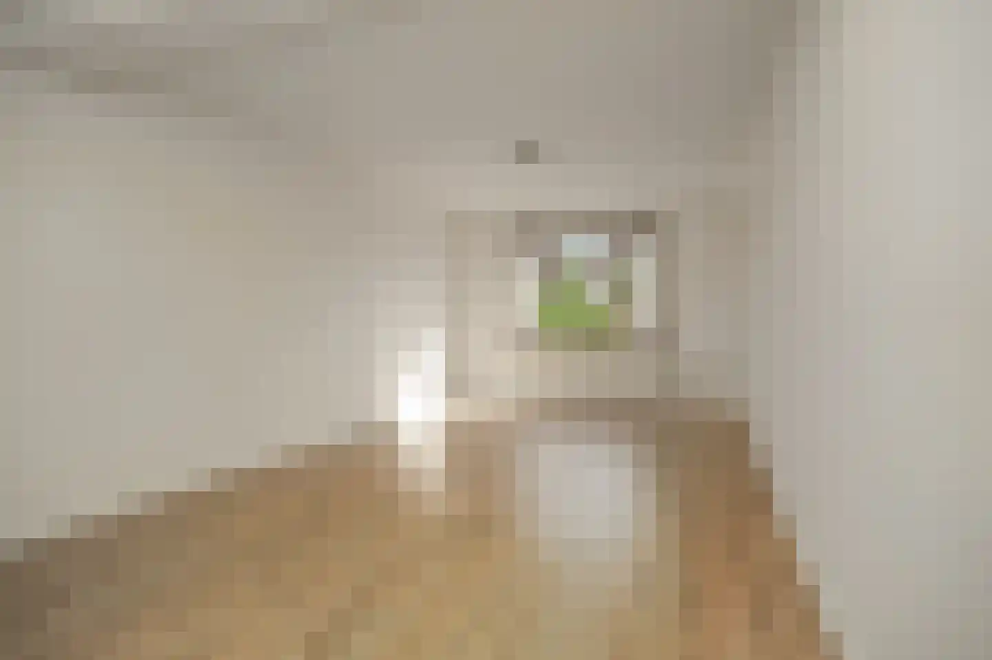 Beatrixstraat 12 Dreumel thumbnail 7