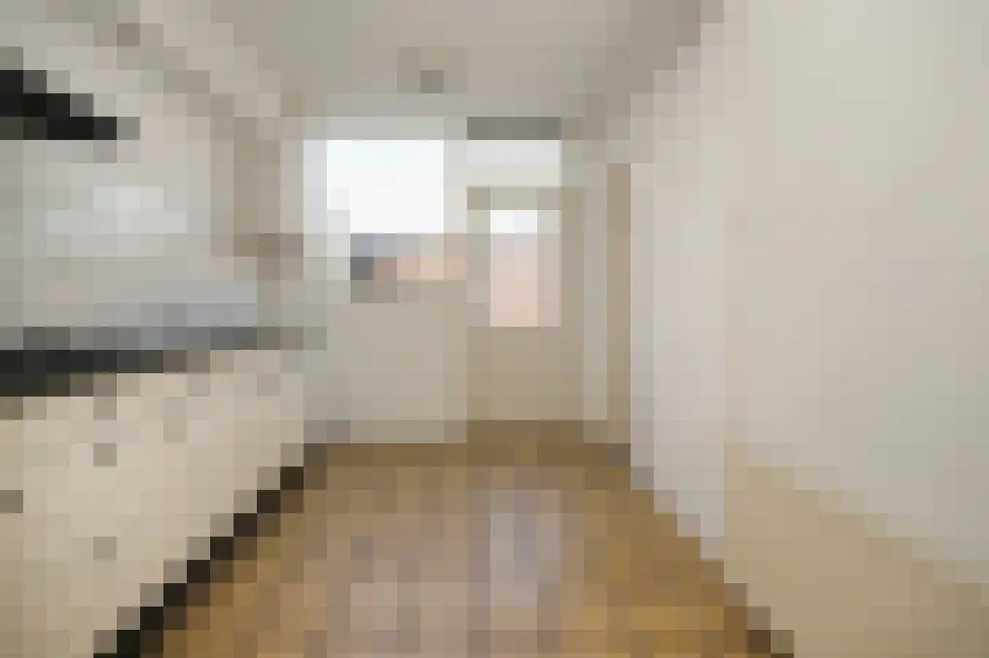 Beatrixstraat 12 Dreumel thumbnail 8