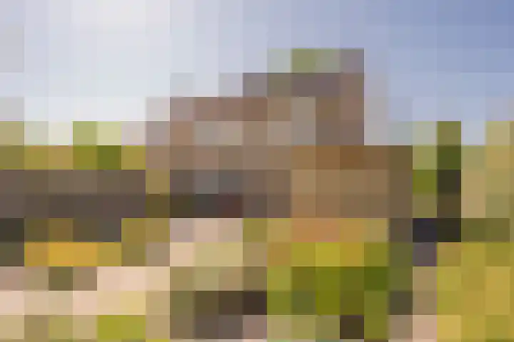 Beatrixstraat 12 Nijkerk thumbnail 4