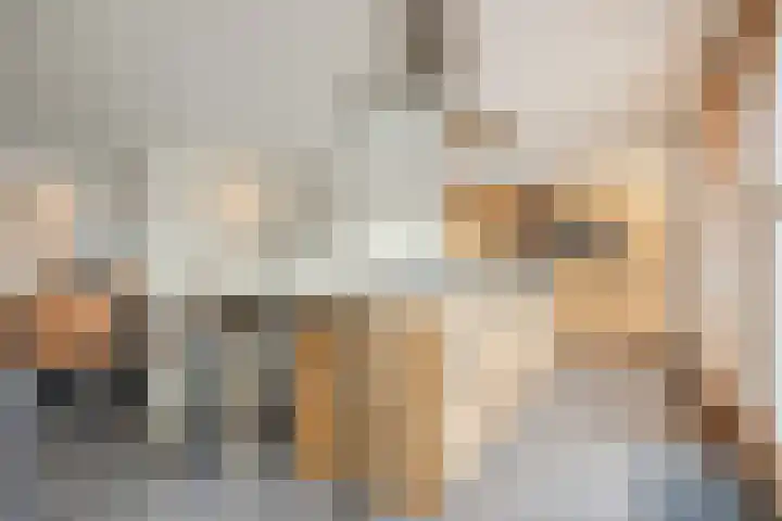 Beatrixstraat 12 Oud Gastel thumbnail 24