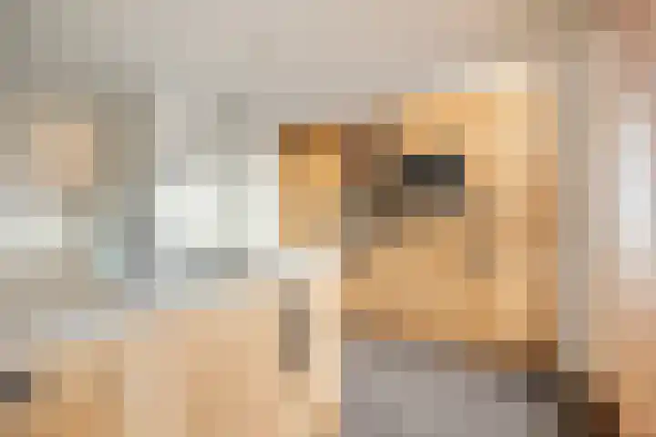 Beatrixstraat 12 Oud Gastel thumbnail 26