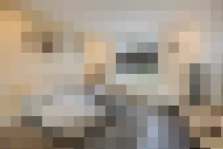Beatrixstraat 12 Oud Gastel thumbnail 4