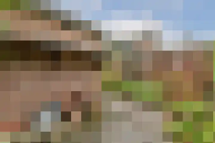 Beatrixstraat 12 Rhoon thumbnail 11