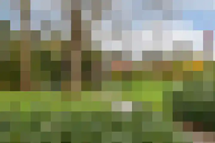 Beatrixstraat 12 Rhoon thumbnail 24