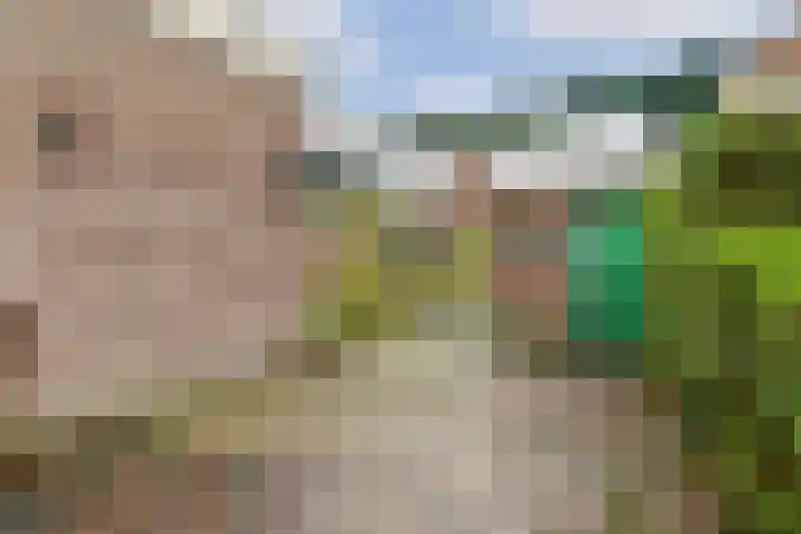 Beatrixstraat 12 Rhoon thumbnail 5
