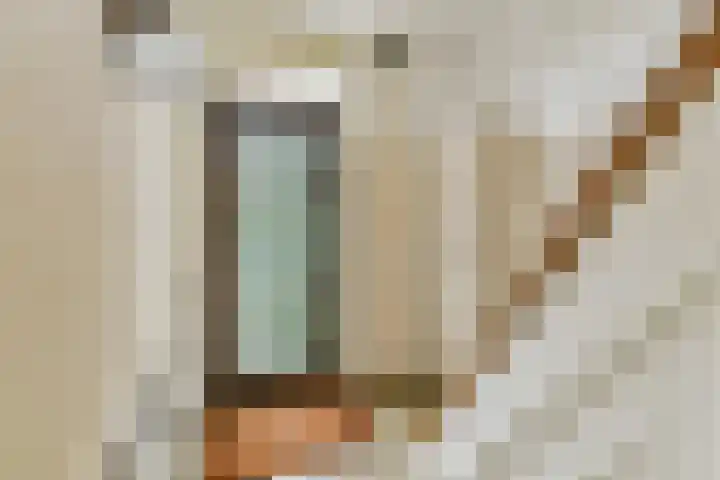 Beatrixstraat 12 Rhoon thumbnail 6