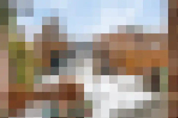 Beatrixstraat 12 Veenendaal thumbnail 5
